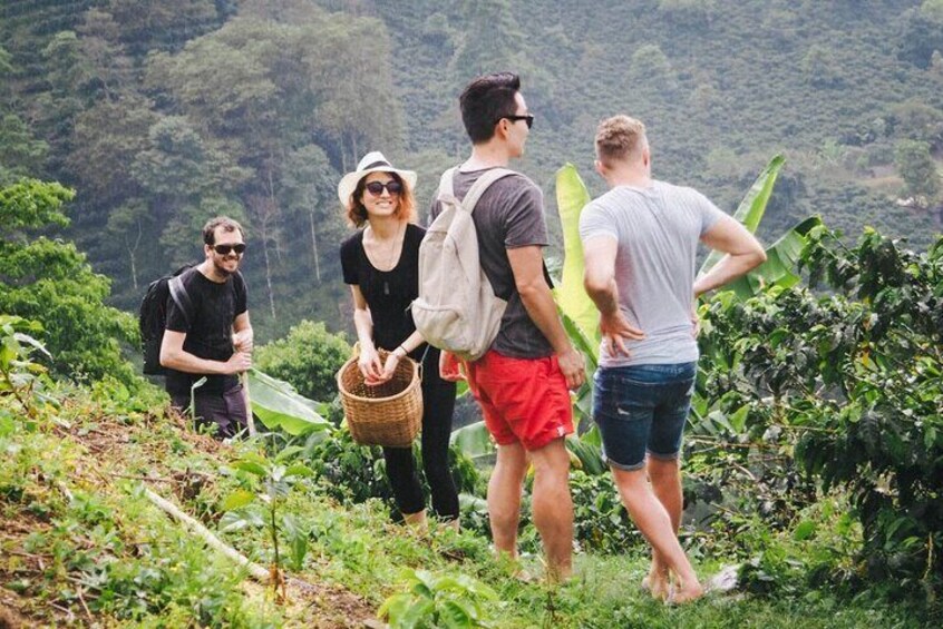 hiking to the waterfalls