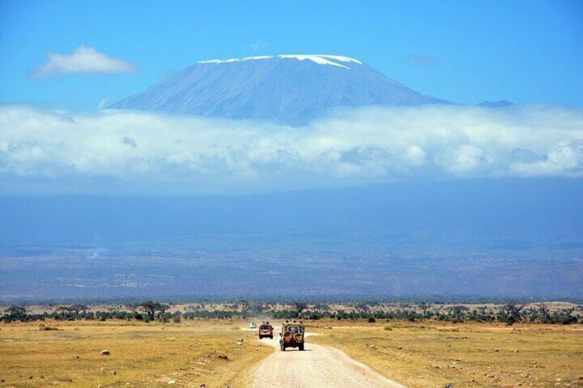 Full day Kilimanjaro tour - waterfalls, coffee, caves and Hot Springs