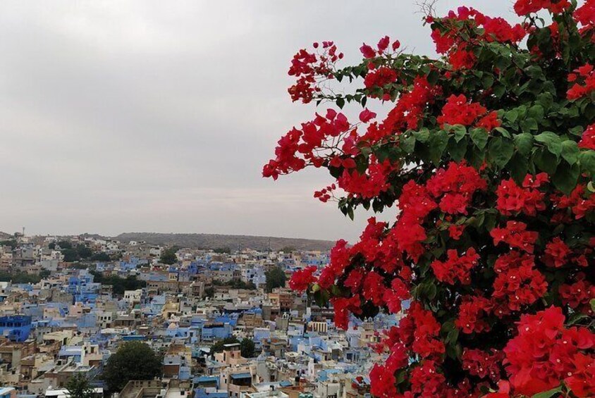 Private Jodhpur Blue City Tour with Hotel Pickup and Drop-off