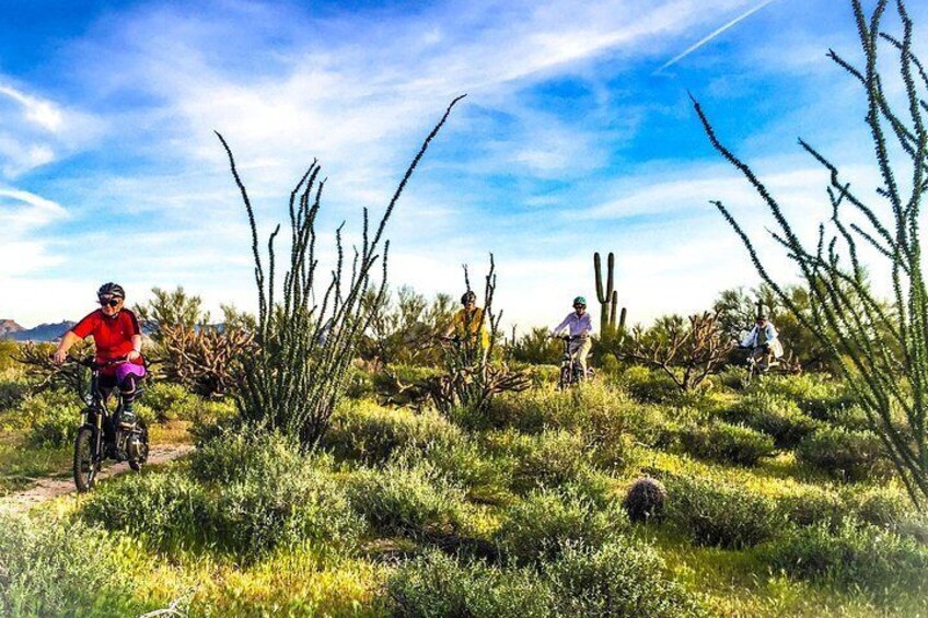 2-Hour Arizona Desert Guided E-Bike Tour