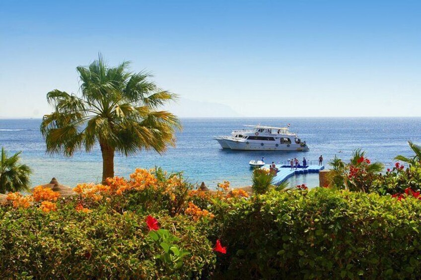 Tiran Island Full Day Sea Cruise with Snorkeling and Diving with Lunch and More