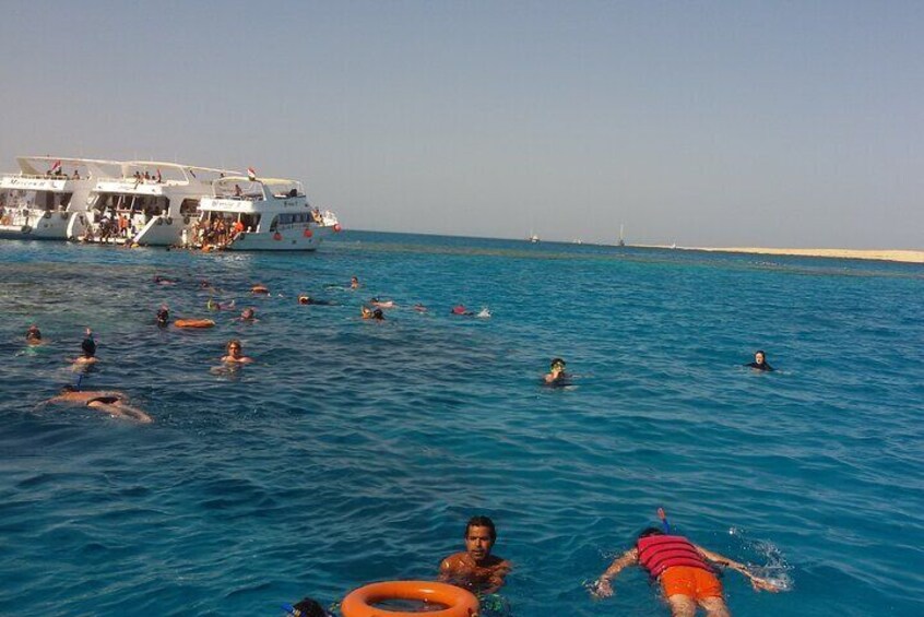 Tiran Island Full Day Sea Cruise with Snorkeling and Diving with Lunch and More