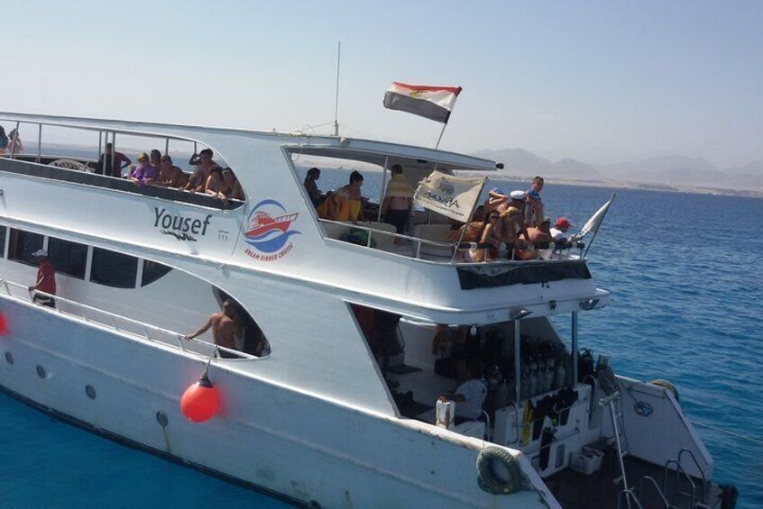 Tiran Island Full Day Sea Cruise with Snorkeling and Diving with Lunch and More