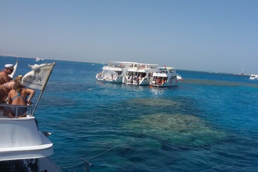 Tiran Island Full Day Sea Cruise with Snorkeling and Diving with Lunch and More