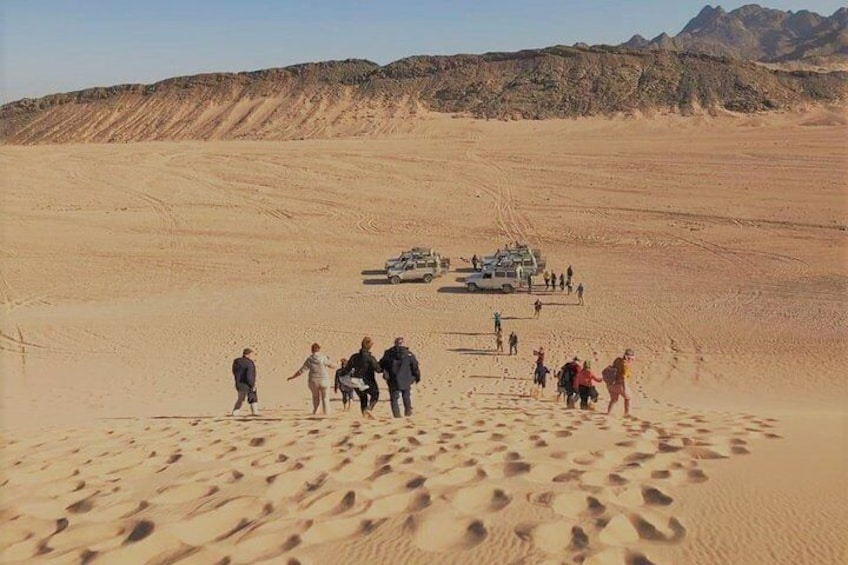 Sharm El Sheikh Safari -Quad Biking & ATV Tour with Camel Ride & Bedouin Dinner