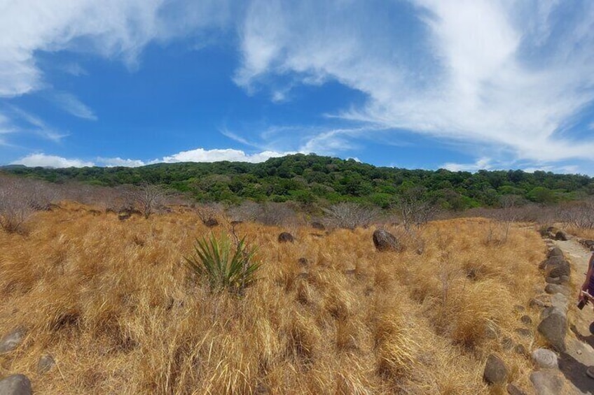 Dry forest and rain forest in one shot 
Very unique ecosystem 