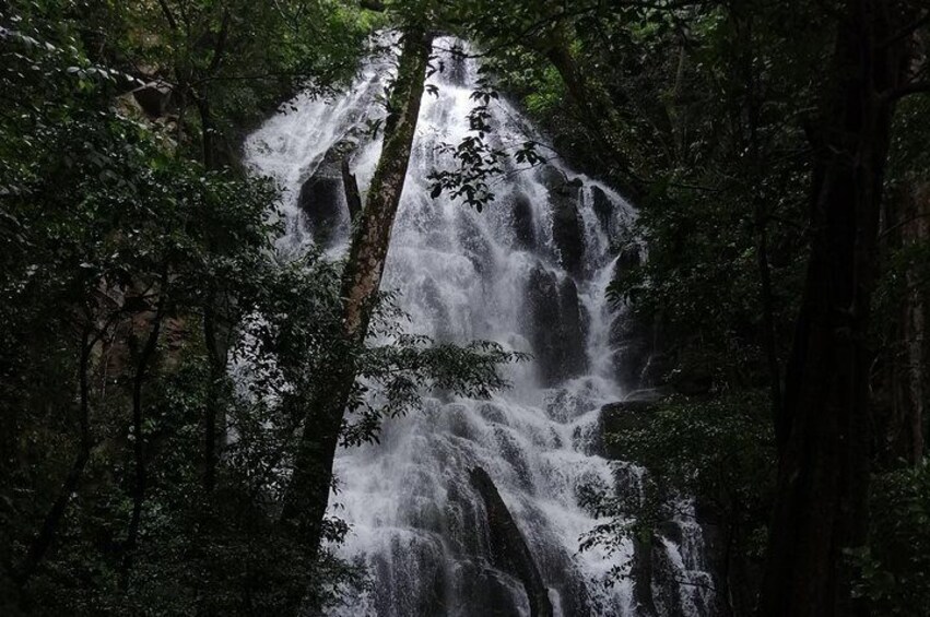 Volcano-Waterfall and Hot Springs Combo ( Private)