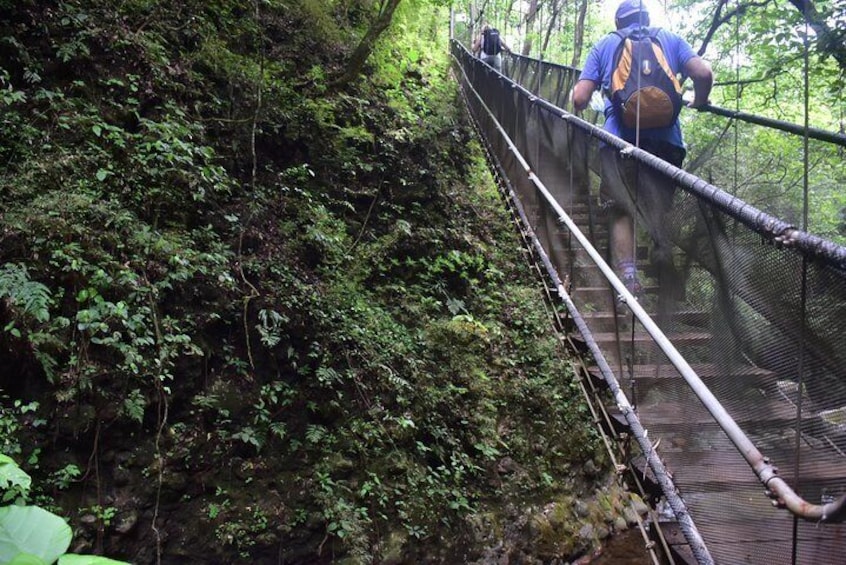suspended stairway @ Oropendula Waterfall