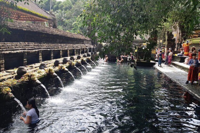 Ubud Tour, Monkey Forest, Swing, Water Temple and Waterfall