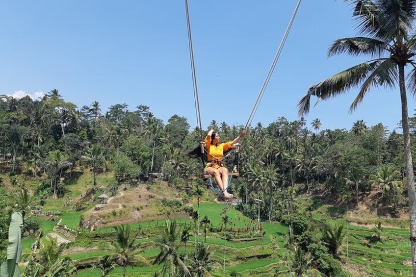 Ubud Tour, Monkey Forest, Swing, Water Temple and Waterfall