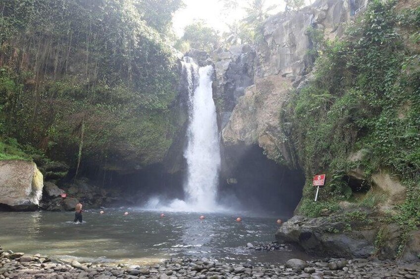Ubud Tour, Monkey Forest, Swing, Water Temple and Waterfall