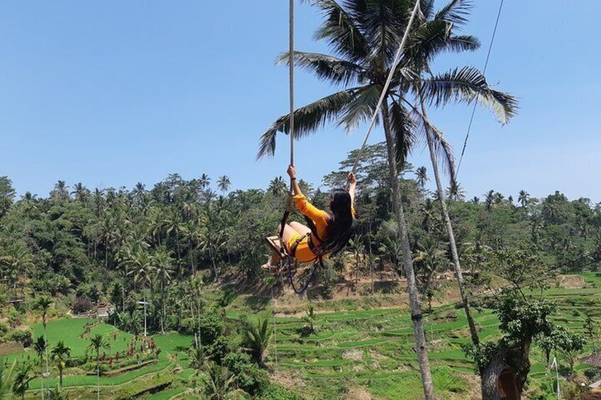 Ubud Tour, Monkey Forest, Swing, Water Temple and Waterfall