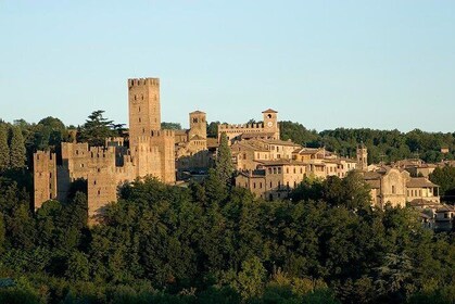 Medieval villages tour & Cremona Stradivari's town, from Milan