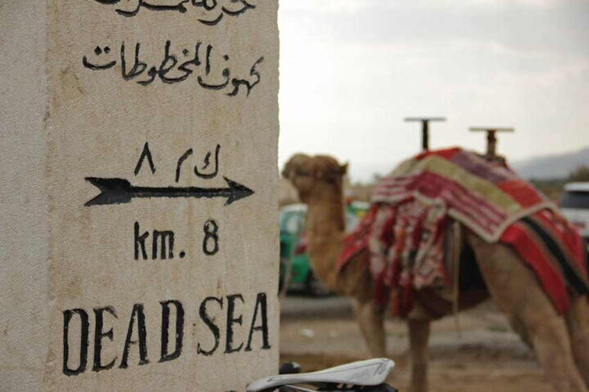 From Jerusalem/Tel Aviv: Trip To Bethlehem and Dead Sea Full Day Tour