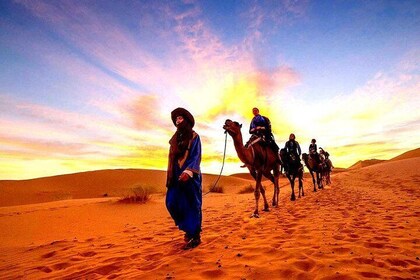 3 Days Desert Trips : Agadir to Merzouga to Marrakesh