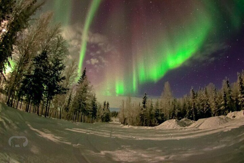 Northern lights searching tour on full moon night