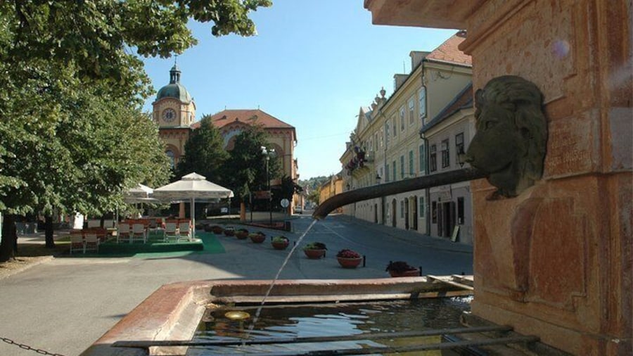 Four lions fountain in Sremski Karlovci