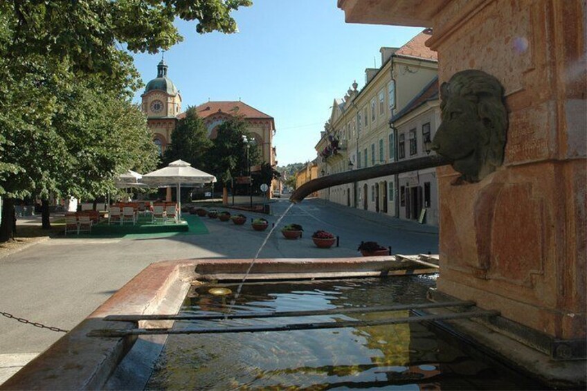 Four lions fountain in Sremski Karlovci