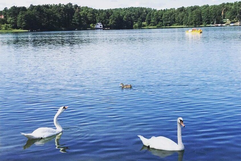 From Vilnius: Private tour to Trakai