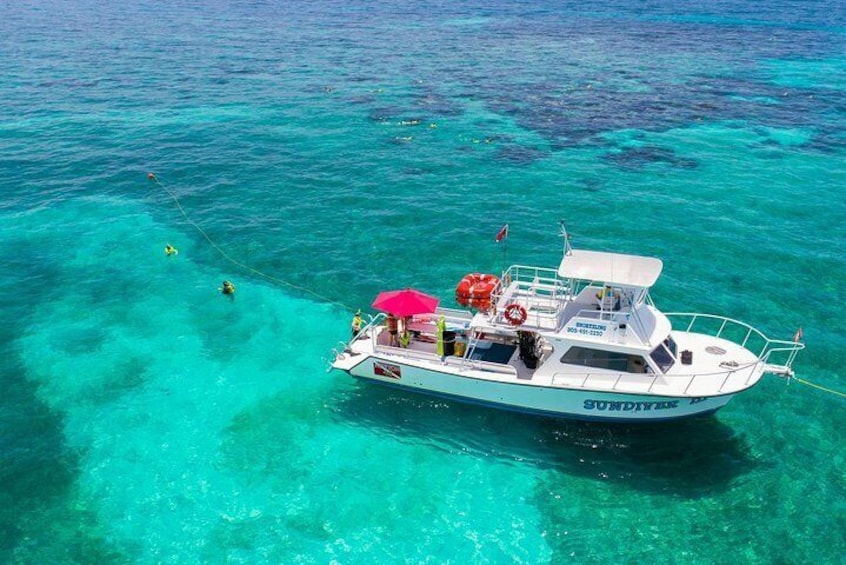 Key Largo Snorkeling Tour - rental mask, fins and vest INCLUDED