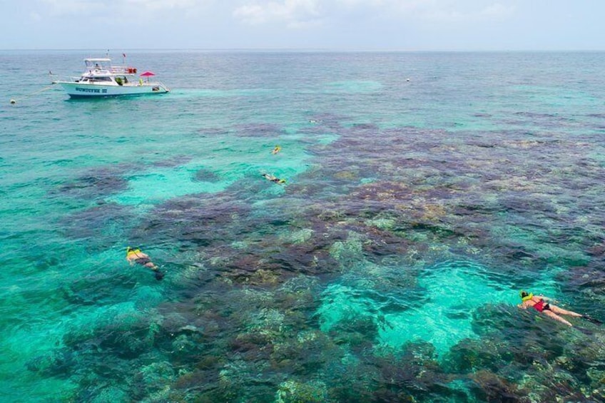 Key Largo Snorkeling Tour - rental mask, fins and vest INCLUDED