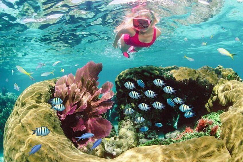 Key Largo Snorkeling Tour - rental mask, fins and vest INCLUDED