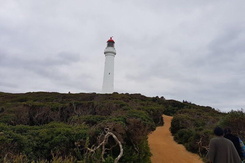 Great Ocean Road Full Day Private Experience