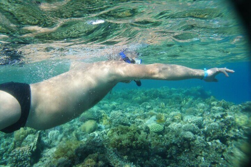 Blue Hole and 3 Pools Snorkel with Lunch from Dahab