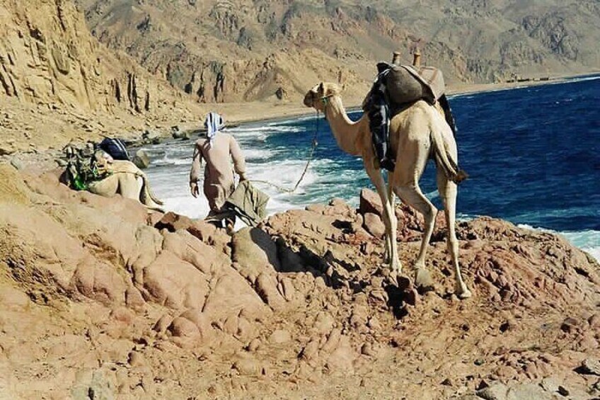 Ras Abu Gallum & Blue Hole Snorkel from Dahab