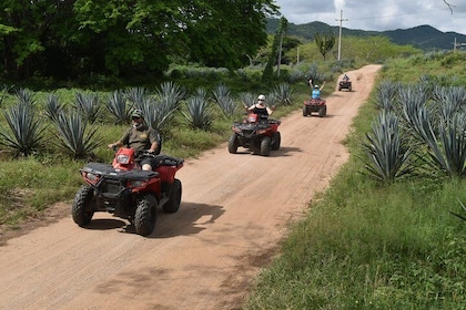 ATV's Tour to La Vinata Los Osuna and La Noria pueblo señorial