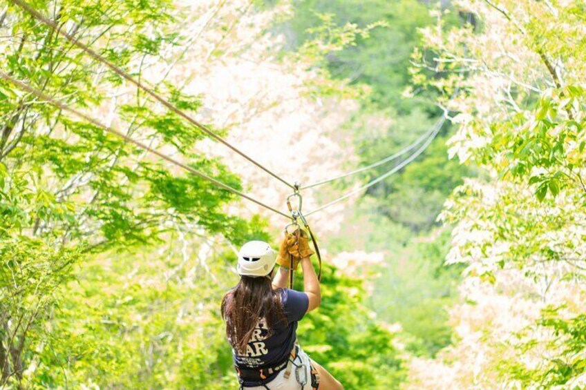 Ziplines and mezcal tasting 