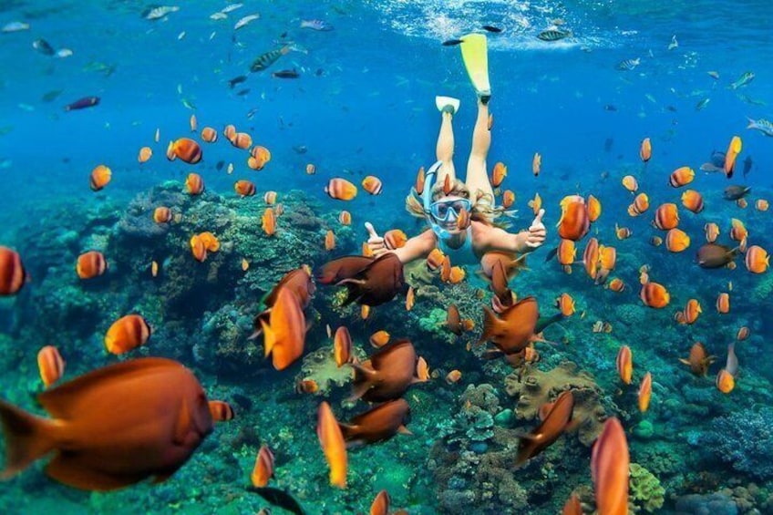 Blue Lagoon Snorkeling - Jungle Swing - Ubud - All Included + FREE Wi-Fi