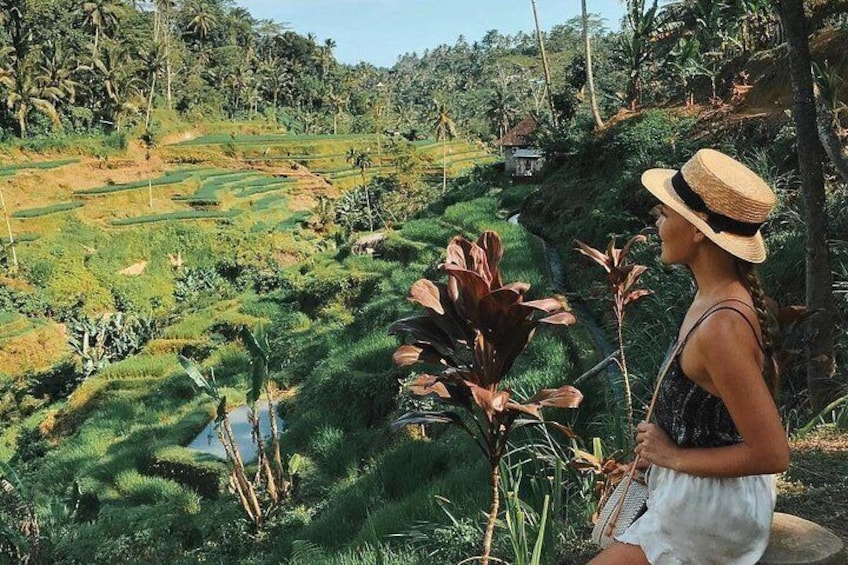 Bali Instagram SightsTour