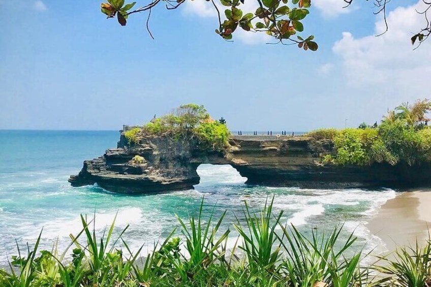 Full Day Private Tour in North Bali with Free WiFi