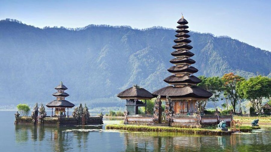 Full-Day Private North Bali Tour with Free WiFi