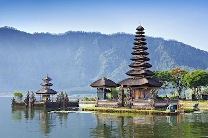 Heldags privat tur i Nord-Bali med gratis WiFi