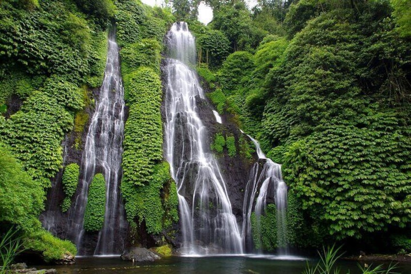 Full Day Private Tour in North Bali with Free WiFi