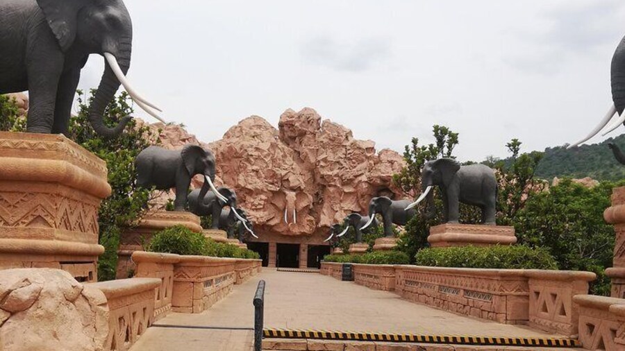 Pilannesburg Game Reserve and Sun City Full Day Tour from Johannesburg Private
