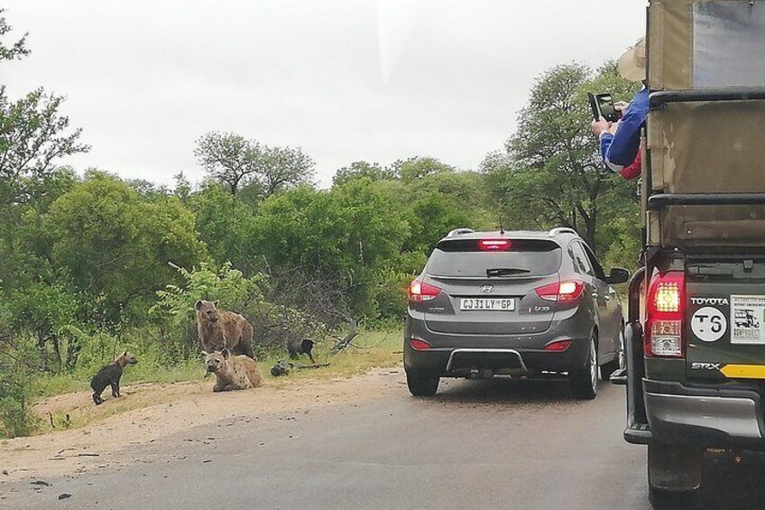 Kruger National Park Safari with Panorama 4 Days Private