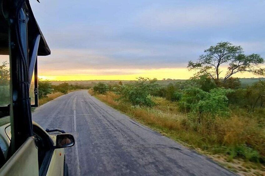 Kruger National Park Safari with Panorama 4 Days Private