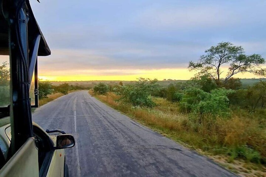 Kruger National Park Safari with Panorama 4 Days Private