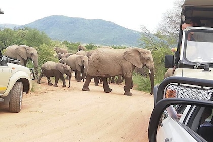 Safari en el Parque Nacional Kruger con Panorama 4 días privado