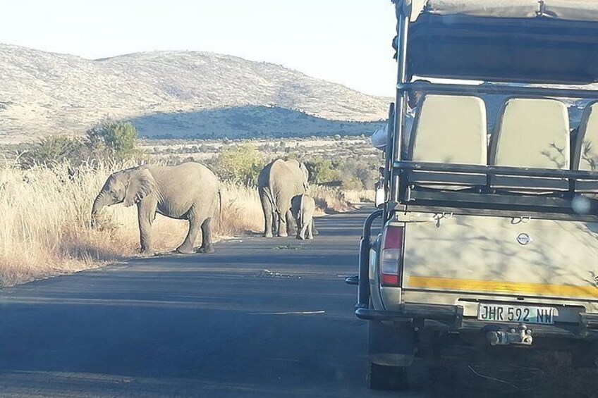 Kruger National Park Safari with Panorama 4 Days Private