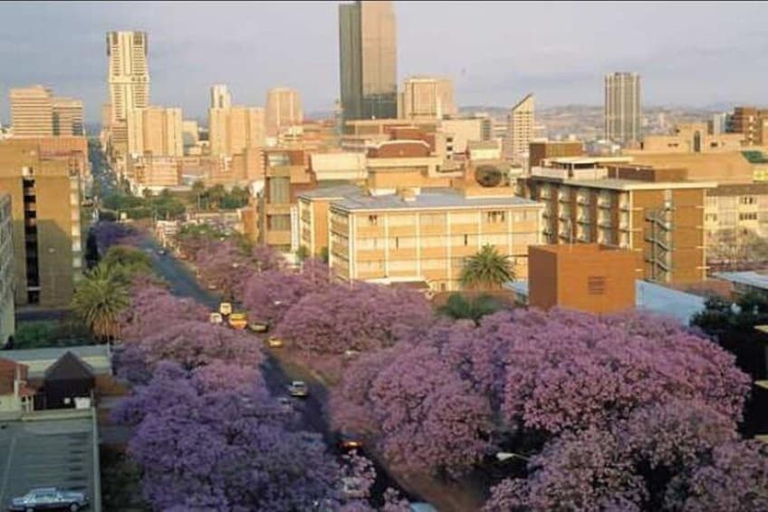 Pretoria Half-Day Private Tour from Johannesburg R1500