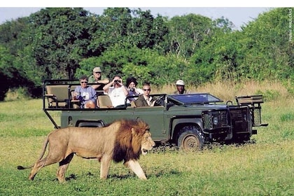 Pilanesberg full day safari private