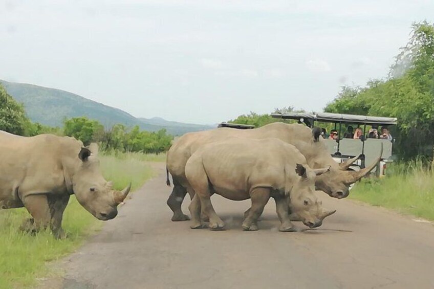 Tented Kruger Park Safari 3-day from Johannesburg or Pretoria R9450