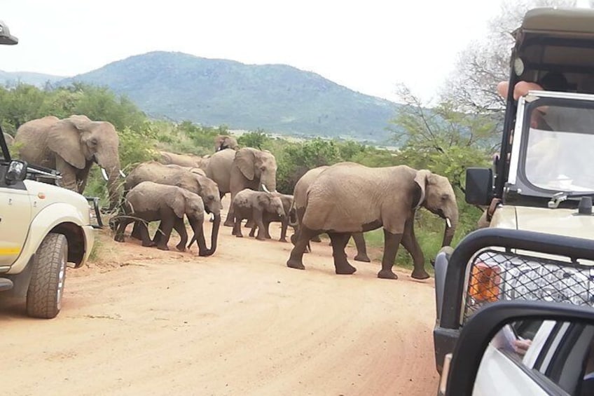 Tented Kruger Park Safari 3-day from Johannesburg or Pretoria R9450