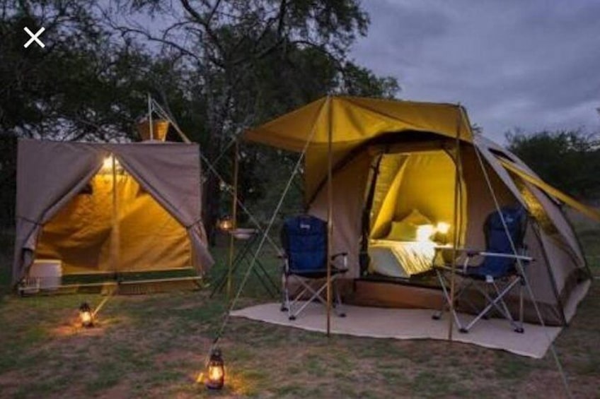 Tented Kruger Park Safari 3-day from Johannesburg or Pretoria R9450