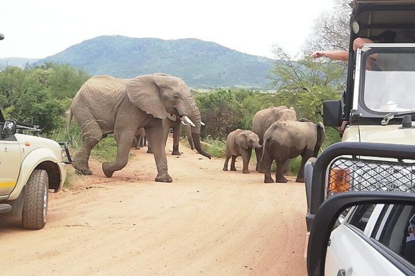 Tented Kruger Park Safari 3-day from Johannesburg or Pretoria R9450