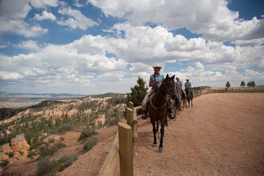 Ruby's Horseback Adventures Utah 1.5 Hour Ride